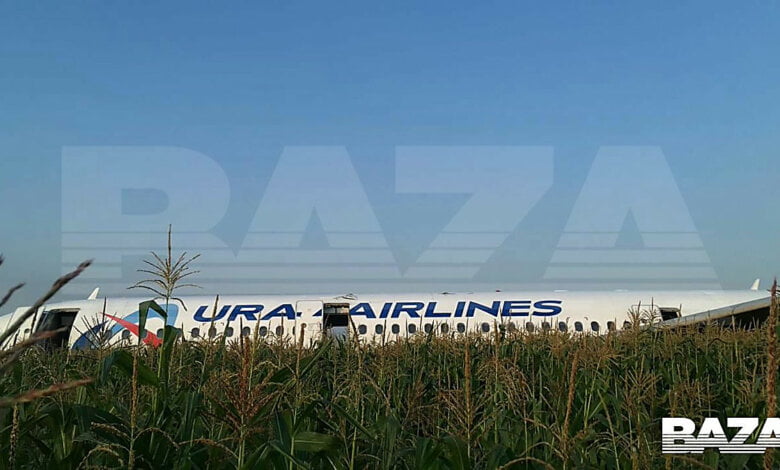 Самолет, летевший в оккупированный Крым, экстренно сел на кукурузном поле. Все пассажиры живы | Корабелов.ИНФО