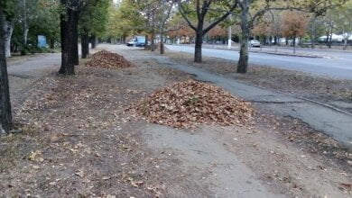 Нескінченні купи сухого листя та "випадкового" сміття... Про санітарне очищення Корабельного району з 23 по 27 вересня | Корабелов.ИНФО image 4
