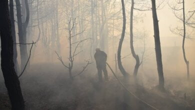 В Балабанском лесу горела хвойная подстилка – в тушении пожара участвовали как спасатели, так и местные предприятия | Корабелов.ИНФО image 4