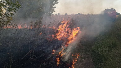 Неизвестные подожгли Балабановский лес | Корабелов.ИНФО