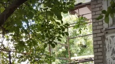 Строительные леса, с которых упала девочка в Корабельном районе, не были ограждены — жильцы утепляли фасады | Корабелов.ИНФО