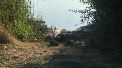 "К шее и ногам привязаны камни": на Николаевщине на берегу реки наши убитого мужчину | Корабелов.ИНФО image 2