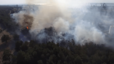 С высоты птичьего полета: появилось видео пожара в Балабановском лесу, случившегося 11 сентября | Корабелов.ИНФО