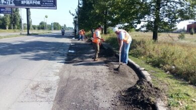Ліквідація звалищ, покос трави та приписи мешканцям: про санітарне очищення Корабельного району з 2 по 6 вересня | Корабелов.ИНФО