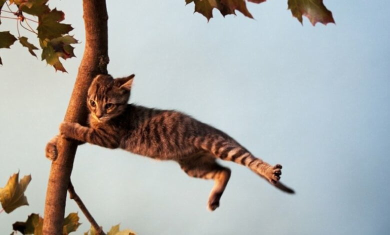 В ожидании сильных порывов ветра в Николаеве объявили чрезвычайную пожарную опасность | Корабелов.ИНФО