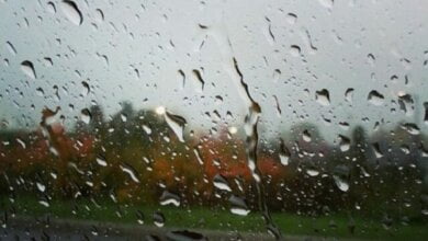 В Николаеве с 4 октября ожидается резкое ухудшение погодных условий | Корабелов.ИНФО