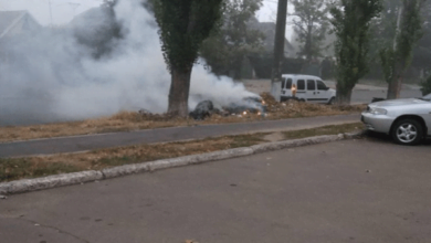 "Сжечь легче и дешевле?" - николаевец возмутился, что в Корабельном районе не вывозят опавшую листву | Корабелов.ИНФО
