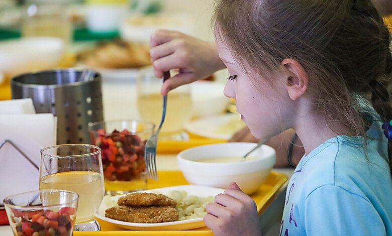 Николаевское гороно объявило торги на организацию питания в детсадах и школах в 2020 году на ₴93,5 млн | Корабелов.ИНФО