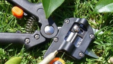 Секатори для любителів дачного відпочинку: як їх вибрати | Корабелов.ИНФО image 1