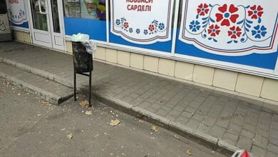 В урне возле остановки николаевцы обнаружили человеческий череп | Корабелов.ИНФО image 1