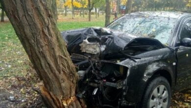 В Николаеве «Ауди» влетел в дерево — водитель скрылся на кабриолете | Корабелов.ИНФО image 1