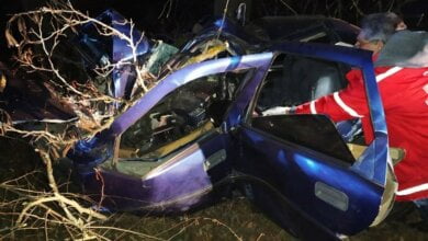 На Николаевщине «Опель» врезался в дерево — погиб водитель | Корабелов.ИНФО