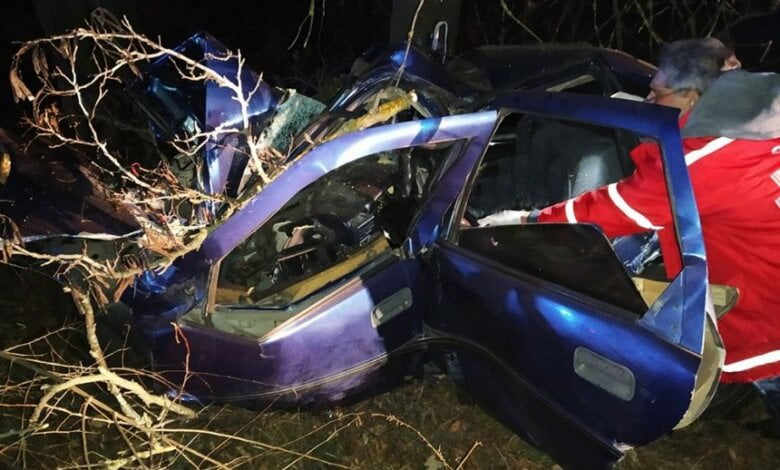 На Николаевщине «Опель» врезался в дерево — погиб водитель | Корабелов.ИНФО