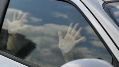 Начал душить и пытался изнасиловать: водитель напал на попутчицу в Витовском районе | Корабелов.ИНФО