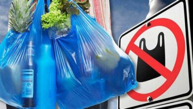 В Украине запретят пластиковые пакеты | Корабелов.ИНФО