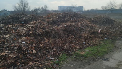 "И тупо всё вываливают напротив дома": в Корабельном районе "коммунальщики" устроили свалку (видео) | Корабелов.ИНФО image 1