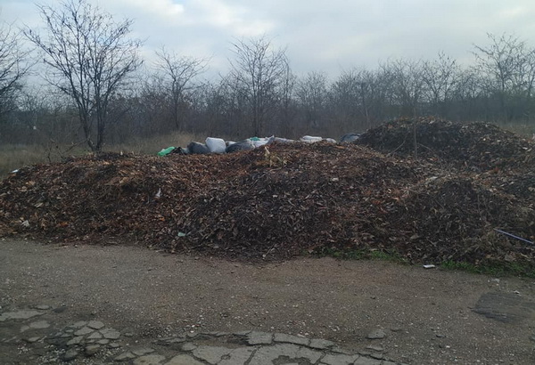 свалка по ул. Океановской