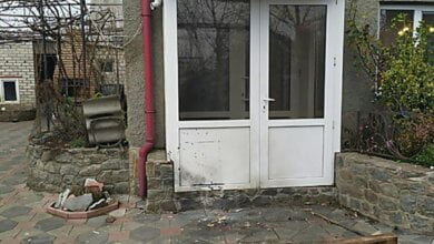 Неизвестные бросили гранату во двор начальника службы охраны агрофирмы экс-нардепа Корнацкого – погибли два мастифа | Корабелов.ИНФО