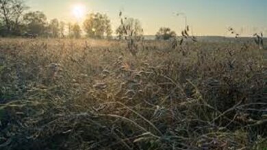 На выходные николаевцам обещают теплую погоду без осадков | Корабелов.ИНФО