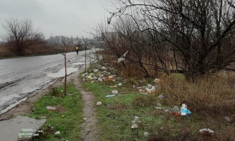Жители Корабельного района возмущены едущими в порт "Ника-Тера" водителями фур, которые завалили обочины мусором | Корабелов.ИНФО