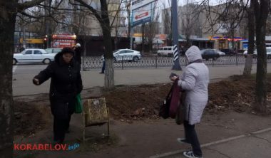 "Чтобы не украли": побеленные до верхушек сосны, прорыв канализации, траншеи вдоль улиц... Один день из жизни Корабельного района (Фото) | Корабелов.ИНФО image 23