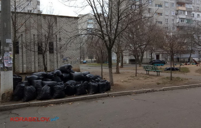 пакеты с мусором и листвой