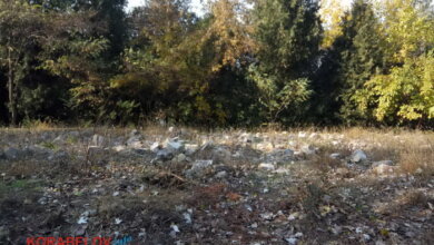 Объявлены тендеры на очистку Корабельного района за почти 6 миллионов | Корабелов.ИНФО