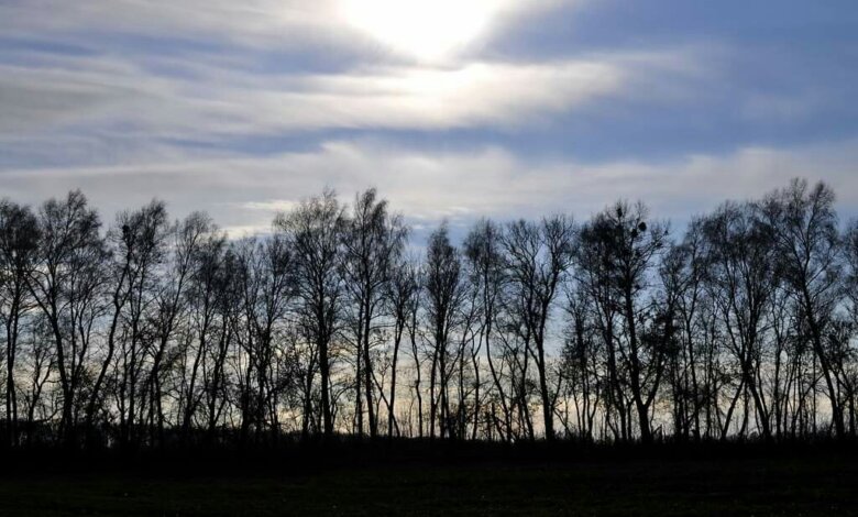 Завтра на Николаевщине: без существенных осадков, но с гололедом | Корабелов.ИНФО