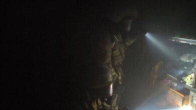 В Корабельном районе спасатели оперативно потушили пожар в летней кухне | Корабелов.ИНФО