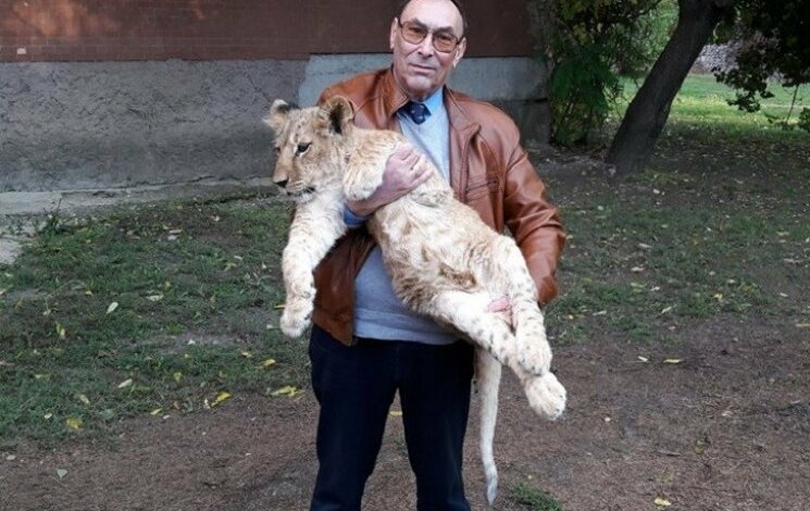В Николаевском зоопарке не знают, куда девать новорожденных львят и тигрят | Корабелов.ИНФО
