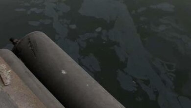 В акватории морпорта Николаева обнаружили загрязнение воды | Корабелов.ИНФО