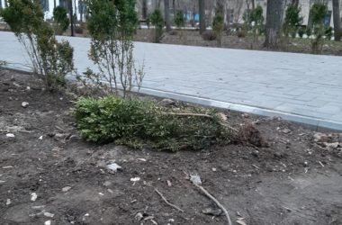 В отреставрированном сквере Николаева орудовали вандалы: Ломали кусты и урны | Корабелов.ИНФО image 1