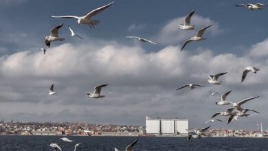 Существенных осадков не ожидается: о погоде на Николаевщине в выходные и праздничные дни | Корабелов.ИНФО