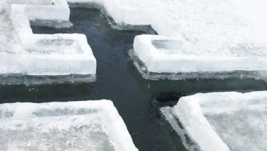 Водохреще-2020: де у Корабельному районі будуть організовані місця для купання | Корабелов.ИНФО