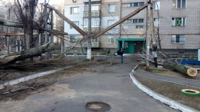 «Прибрано 169 дерев...», – адміністрація Корабельного району звітувала про ліквідацію наслідків негоди | Корабелов.ИНФО image 4