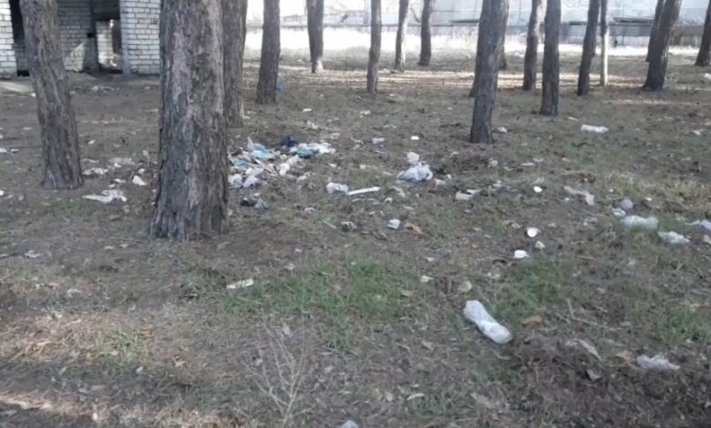 Николаевцы убрали мусор в Балабановском лесу (видео) | Корабелов.ИНФО