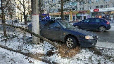 Скользко на дороге: в Корабельном районе «Ниссан» свалил два дерева и врезался в столб | Корабелов.ИНФО