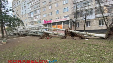 Жители Корабельного района остались без света и отопления... Последствия урагана (ВИДЕО) | Корабелов.ИНФО image 5