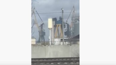 На заводе «Океан» объяснили, что никакой катастрофы с кранами не произошло (видео) | Корабелов.ИНФО