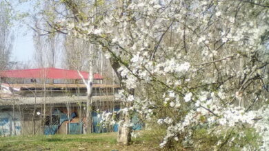 С 31 марта в Николаеве ожидается похолодание | Корабелов.ИНФО