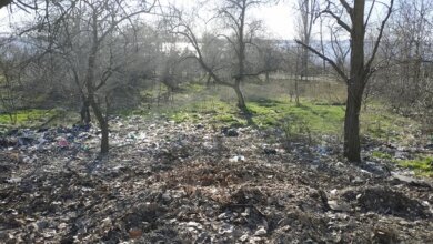 "Кто должен навести здесь порядок?", - жительница Николаева о повсеместных горах мусора (Фото) | Корабелов.ИНФО image 5