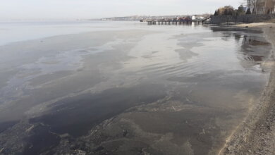 Акватория пляжа "Чайка" - в грязных пятнах, - возмущены жители Корабельного района (Видео) | Корабелов.ИНФО image 10