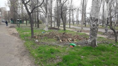 "Карантин – лучшее время для уборки", - жители Корабельного просят власть навести порядок в районе | Корабелов.ИНФО image 4