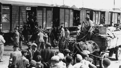 Вирвані з коренем. Переселенців до Вітовського району перевозили у вагонах для худоби | Корабелов.ИНФО image 1