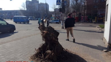 "Сколько ждать? Когда наведут порядок?", - жители Корабельного о последствиях урагана двухнедельной давности (ФОТО) | Корабелов.ИНФО image 2