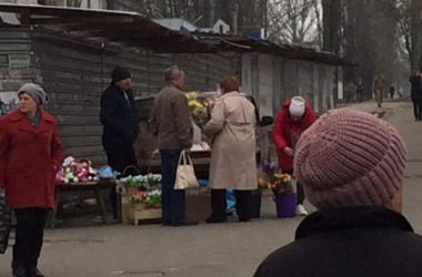 "Ничего страшного?"... В Николаеве продают краснокнижные подснежники | Корабелов.ИНФО image 1