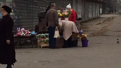 "Ничего страшного?"... В Николаеве продают краснокнижные подснежники | Корабелов.ИНФО image 2