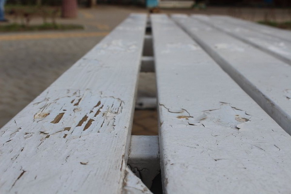 "Был мэр, ленточку резали"... В Корабельном районе разрушается «солнечное дерево», установленное всего полгода назад | Корабелов.ИНФО image 4