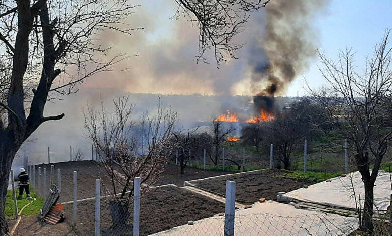 В Корабельном районе подожгли камыш – от огня удалось спасти жилые дома | Корабелов.ИНФО image 2