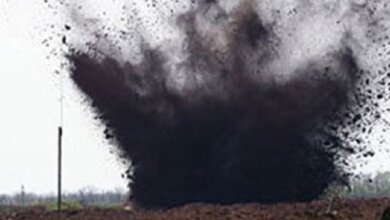 На военном полигоне в Николаевской области подорвался пастух | Корабелов.ИНФО